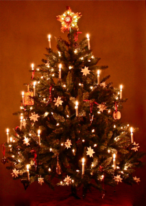 christmas tree photo OIEd